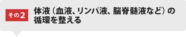 体液（血液、リンパ液、脳脊髄液など）の循環を整える